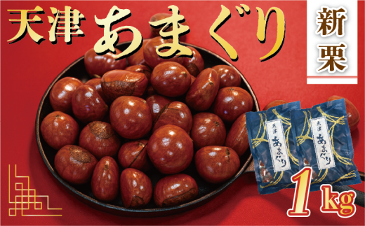 新栗 天津 7000円 甘栗 選べる 容量 1㎏ 京都 栗 くり 殻付き お菓子 おつまみ 甘露煮 マロン 秋 モンブラン 栗ご飯 京都 八幡 八幡市