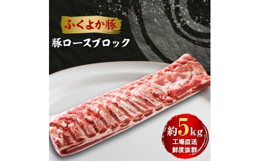 工場直送・鮮度抜群・ダイナミック　＜ふくよか豚＞豚ロースブロック　約5kg_豚ロースブロック 豚ロースブロック肉 豚ロース ブロック肉 塊肉 豚肉 ブタ肉 豚 肉 ふくよか豚 焼肉 ステーキ とんかつ しゃぶしゃぶ 冷蔵 福岡県 福岡 九州 グルメ お取り寄せ【1028582】 789425 - 福岡県水巻町