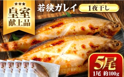 【先行受付/10月上旬より順次発送】 献上鰈 上品な味わい 若狭かれい一夜干し 約100g×5尾セット / 干物 魚介 冷凍 ギフト 小浜市 / まるほ商店 【配送不可地域：北海道・沖縄・離島】 [BFCS059] 2296489 - 福井県小浜市