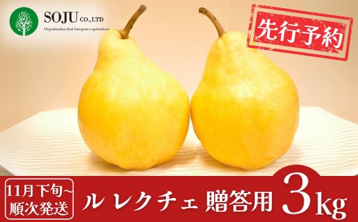 先行予約 ル レクチェ 約3kg [11月下旬から発送予定] 洋梨 JGAP認証農場 新潟県 三条市産  ル レクチエ 期間限定 冬限定  幻の西洋梨 フルーツ 秋 旬 洋梨 ル・レクチェ  [三条果樹専門家集団]【016P026】