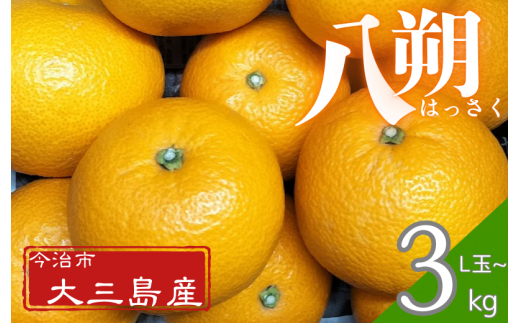 八朔L玉～・3kg【K003210L3】 2191927 - 愛媛県今治市