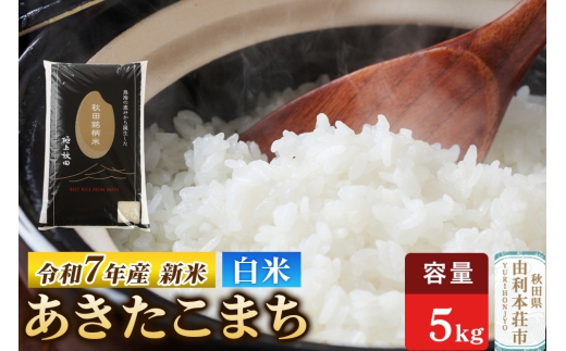 令和7年産 【白米】極上秋田銘柄米 あきたこまち 5kg 【2025年10月下旬出荷予定】 2299015 - 秋田県由利本荘市