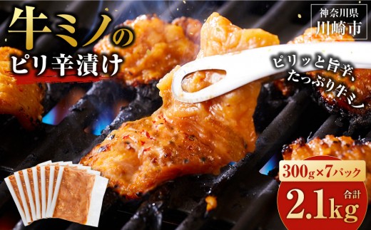 牛ミノ ピリ辛漬け 2.1kg ( 300g × 7パック ) 小分け 個包装 便利 牛肉 ホルモン ミノ 焼肉 焼き肉 お肉 肉 焼くだけ 冷凍 たれ 味付き BBQ アウトドア キャンプ 人気 おすすめ 神奈川 川崎【2026年4月発送】 2300823 - 神奈川県川崎市