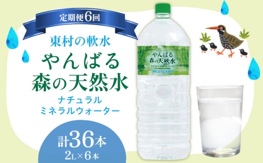 【定期便6回】東村の軟水【やんばる 森の天然水】ナチュラルミネラルウォーター　2L×6本 天然水 ミネラルウォーター 水 ソフトドリンク 飲料水 軟水 東村の水 天然水 お水 ヤンバルの水 やんばる ヤンバル ペットボトル 2リットル 防災 国産 長期保存 備蓄 沖縄 東村