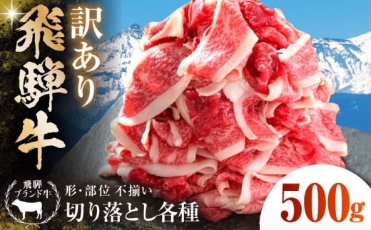 【訳あり】 飛騨牛 切落とし 500g 多治見市 / 飛騨高山ミート MZ011 [THP010] 2298690 - 岐阜県多治見市
