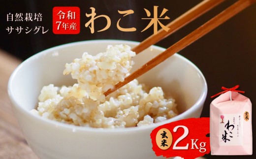  新米 予約 玄米 2kg ササシグレ 自然栽培 幻 お米 自然栽培米 令和7年産 数量限定  わこ米 米 コシヒカリ より あっさり 甘み 石川県 石川 羽咋 能登 復興支援 災害支援 予約 健康 先行予約