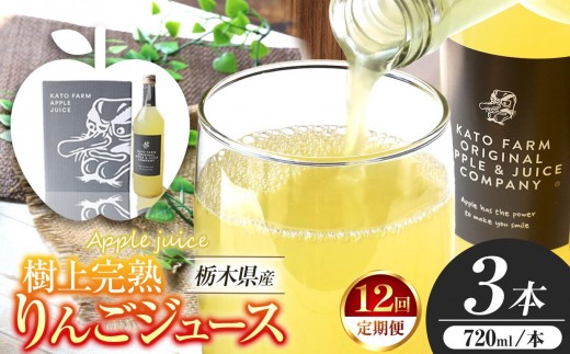 【定期便12回】栃木県矢板市産 樹上完熟100％りんごジュース 720ml×3本入  | 林檎 リンゴ 果汁100% 産地直送 (毎月お届け）  