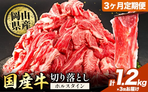牛肉 肉 国産牛 切り落とし ホルスタイン 大容量 小分け 1.2kg × 3ヶ月定期便 《お申込み月の翌月から出荷開始》岡山県産 岡山県 笠岡市 お肉 にく カレー 牛丼 牛肉 切り落し 小分け 切落し 牛肉 小分け 牛肉