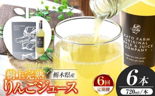 【定期便6回】栃木県矢板市産 樹上完熟100％りんごジュース 720ml×6本入  | 林檎 リンゴ 果汁100% 産地直送 (毎月お届け）  