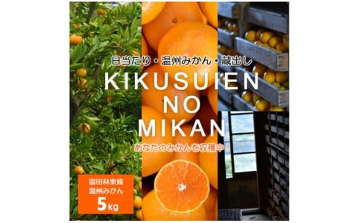 温州みかん 富田林市東條産5㎏ ＜菊水園＞ 甘い美味しい みずみずしいと人気の柑橘です。【1669825】 2302050 - 大阪府富田林市