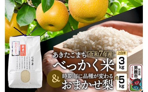 《令和7年産 新米受付》べっかく米 あきたこまち（上白米）3kgと梨 約5kgのセット 秋田県 男鹿市 男鹿ファーム直売所 2298710 - 秋田県男鹿市