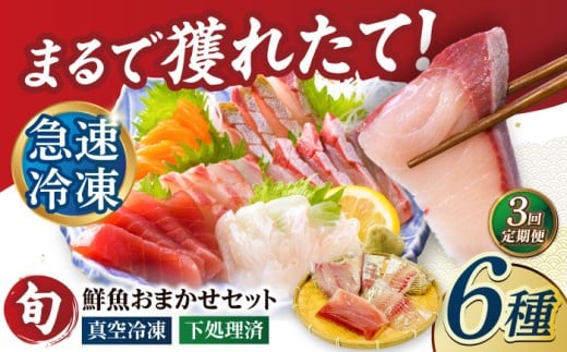 【全3回定期便】超速冷凍鮮魚6種（5種+焼物用1種） 五島市/金沢鮮魚 魚  鮮魚 鮮魚ボックス [PEP065] 2261680 - 長崎県五島市
