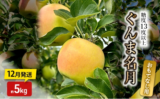 [№5554-0316]りんご【12月発送】糖度13度以上 ぐんま名月 おもてなし品  約5kg【青森りんご】