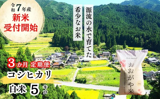 《令和7年産新米受付開始》【3回定期便】白米 5kg 令和7年産 コシヒカリ 岡山 「おおがや米」生産組合 G-af-BEFA 1329227 - 岡山県西粟倉村
