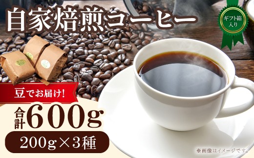自家焙煎コーヒー（豆）ギフト箱入り　600g（200g×3種） 1443168 - 鳥取県日吉津村