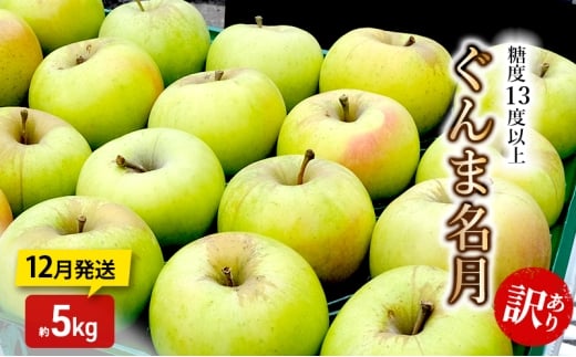 [№5554-0317]りんご【12月発送】糖度13度以上 訳あり 家庭用 ぐんま名月 約5kg【青森りんご】
