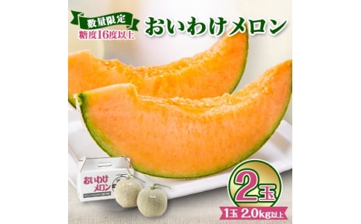 ＜2026年発送＞おいわけメロンパック 糖度16度以上 2.0kg以上×2玉(数量限定)【1102220】 325011 - 北海道安平町