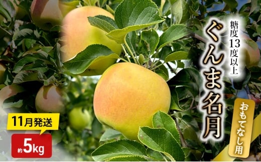 [№5554-0313]りんご【11月発送】糖度13度以上 ぐんま名月 おもてなし品  約5kg【青森りんご】