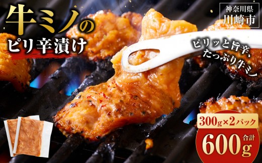 牛ミノ ピリ辛漬け 600g ( 300g ×2パック ) 小分け 個包装 便利 牛肉 ホルモン ミノ 焼肉 焼き肉 お肉 肉 焼くだけ 冷凍 たれ 味付き BBQ アウトドア キャンプ 人気 おすすめ 神奈川 川崎[配送月が選べる]