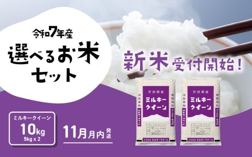 【11月月内発送】ミルキークイーン 10kg 令和7年産 茨城県産 白米 精米 茨城県 お米 米 [SF363yai]