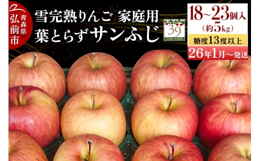 [26年1月〜発送]りんご [ 数量限定 ]雪完熟 自然 葉とらず 糖度13度以上 家庭用 サンふじ 約 5kg 18〜23個[レビューキャンペーン]