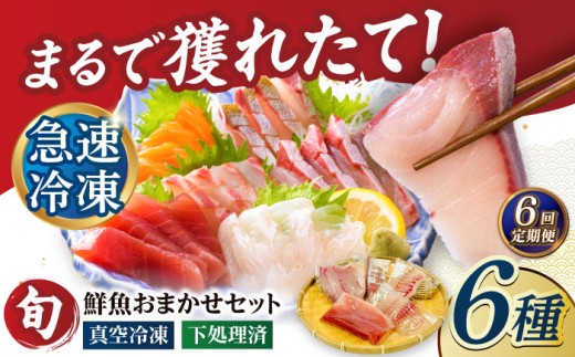 【全6回定期便】超速冷凍鮮魚6種（5種+焼物用1種）五島市/金沢鮮魚 魚  鮮魚 鮮魚ボックス [PEP066] 2261681 - 長崎県五島市