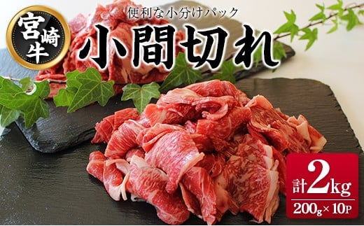 宮崎牛 小間切れ 便利な小分け 200g×10P 計2kg 人気 冷凍 国産【E246】