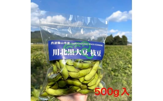 川北黒大豆枝豆・丹波黒煮豆・黒豆きなこのセット（枝豆1袋・煮豆1袋・きな粉1袋）　 2298973 - 兵庫県丹波篠山市