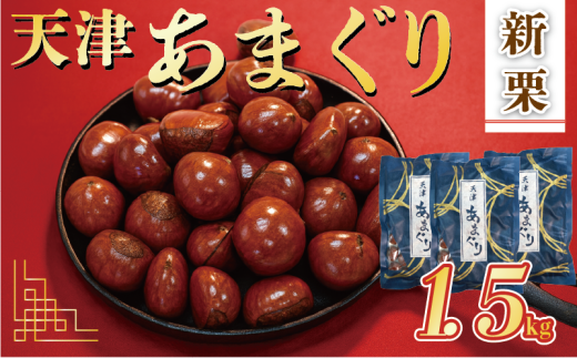 新栗 天津 甘栗 10000円 選べる 容量 1.5㎏ 京都 栗 くり 殻付き お菓子 おつまみ 甘露煮 マロン モンブラン 秋 旬 栗ご飯 京都 八幡 八幡市