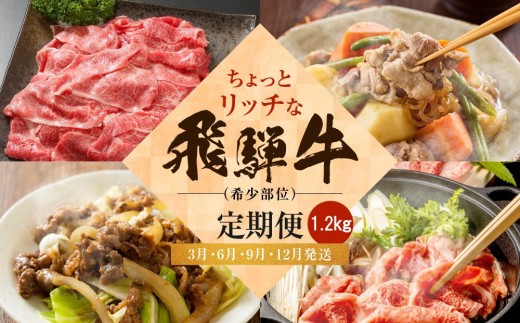 ちょっとリッチな飛騨牛（希少部位）約1.2kg 【3月・6月・9月・12月発送】定期便 4回 | みすじ ウデ すき焼き しゃぶしゃぶ  希少部位 300g 和牛 国産牛 冷凍 飛騨高山 飛騨牛のこもり FC110 2172851 - 岐阜県高山市