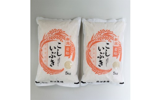 【令和7年産米】 こしいぶき 白米10kg(5kg×2) 新潟県村上市岩船産 1067103 2296831 - 新潟県村上市