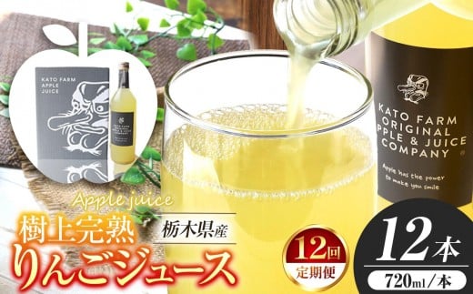 【定期便12回】栃木県矢板市産 樹上完熟100％りんごジュース 720ml×12本入  | 林檎 リンゴ 果汁100% 産地直送 (毎月お届け）  
