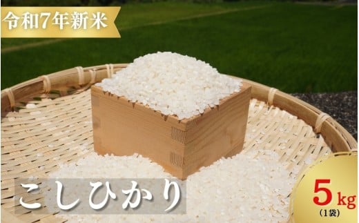 [令和7年新米]お米 コシヒカリ 熊野市育生町 恥ずかしがり屋のおじいちゃんが作った 自慢のお米 5kg 米 こめ 白米 こしひかり 精米[ligh0012]