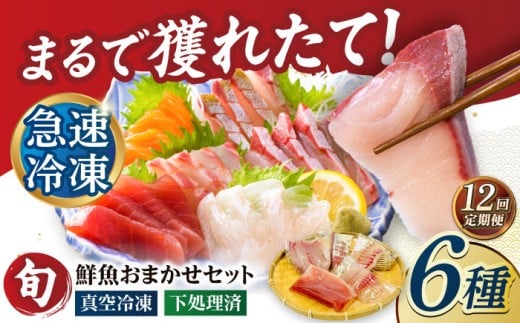 【全12回定期便】超速冷凍鮮魚6種（5種+焼物用1種） 五島市/金沢鮮魚 魚  鮮魚 鮮魚ボックス [PEP067] 2261682 - 長崎県五島市