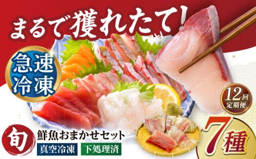 【全12回定期便】超速冷凍鮮魚7種（5種+焼物用2種）五島市/金沢鮮魚 [PEP071] 2261686 - 長崎県五島市