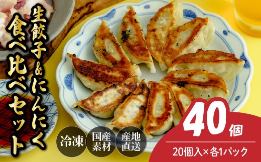 にんにく餃子20個&生餃子20個 餃子 40個 人気店の旨味あふれる冷凍餃子 | 大容量 ギョウザ 冷凍餃子 ギョーザ 冷凍ギョウザ 冷凍 冷凍ぎょうざ ぎょうざ ぎょーざ おいしい 手軽 食べ比べ 美味しい おつまみ 国産野菜 中華 簡単調理 惣菜 北本フーズ 埼玉県 北本市 2298983 - 埼玉県北本市