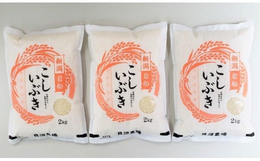 【令和7年産米】 こしいぶき 白米6kg（2kg×3） 新潟県村上市岩船産　1067102 2296830 - 新潟県村上市