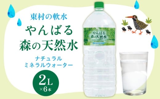 東村の軟水【やんばる 森の天然水】ナチュラルミネラルウォーター　2L×6本 天然水 ミネラルウォーター 水 ソフトドリンク 飲料水 軟水 東村の水 天然水 お水 ヤンバルの水 やんばる ヤンバル ペットボトル 2リットル 防災 国産 長期保存 備蓄 沖縄 東村