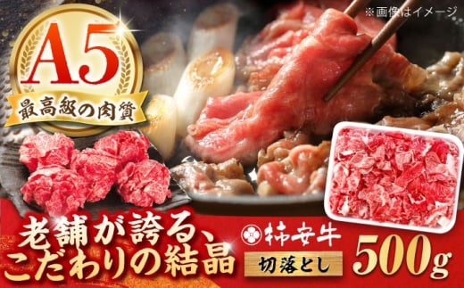  【2025年10月発送】最高級A5等級 柿安牛 牛肉 切り落とし 500g 三重県産 黒毛和牛 / 人気 a5 肉 切り落とし 国産 おすすめ 牛肉 冷蔵 国産牛肉 和牛 牛肉切り落とし 切り落とし肉 牛肉 冷蔵 カレー すき焼き 牛丼 肉じゃが プルコギ しゃぶしゃぶ /　三重県 / 亀山市 / 柿安本店 [AMBW001-10] 2298747 - 三重県亀山市