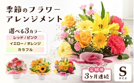 定期便 ≪3ヶ月連続お届け≫ 選べるカラー 季節のフラワーアレンジメント S [カラー:レッド・ピンク / イエロー・オレンジ / カラフル] [お花 フラワー アレジメント 花束 ギフト 生花 プレゼント 花束 花 記念日 敬老の日 お祝い] [B-20702]