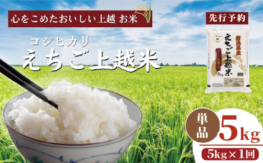 【先行予約】令和7年 新米 新潟県産コシヒカリ えちご上越米 5kg 新潟 米 新潟県 こしひかり 限定 おすすめ 2090635 - 新潟県上越市