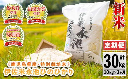 isa541 【定期便】令和7年産 特別栽培米 伊佐米永池ひのひかり(計30kg・10kg×3ヶ月) 伊佐市 永池 お米 米 白米 精米 伊佐米 食味コンテスト 最優秀賞受賞 ヒノヒカリ 【エコファーム永池】 1179040 - 鹿児島県伊佐市