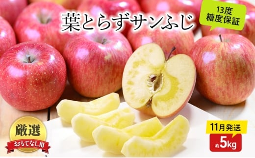 [№5554-0327]りんご【11月発送】蜜入り 糖度13度以上 おもてなし品  葉とらず サンふじ 約5kg【青森りんご 果物 フルーツ 産地直送 糖度測定 褐変 チェック 贈り物 年末 挨拶 お土産】