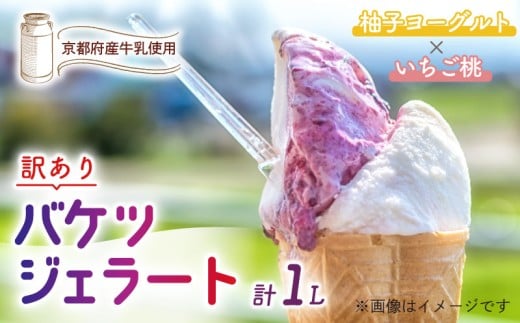 【訳あり】　特製バケツジェラート 1L 【柚子ヨーグルト×いちご桃】 2種類の味 ( ジェラート アイスクリーム アイス バケツアイス 業務用アイス 業務用ジェラート 業務用 バルク 大容量 柚子 ゆず ヨーグルト 苺 いちご 桃 もも 訳あり 野菜 果物 フルーツ デザート スイーツ 家庭用 冷凍 おすすめ きよしファーム 南丹市 南丹 京都府 京都 )