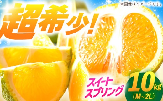 【樹上完熟】スイートスプリング（優品）10kg箱 M-2L ー2026年1月末より発送ー 長与町/つじ梨園 [ECO003] 柑橘 スイートスプリング すいーとすぷりんぐ 完熟 10㎏ 大容量 みかん 九州みかん ミカン 希少 産地直送 1496932 - 長崎県長与町