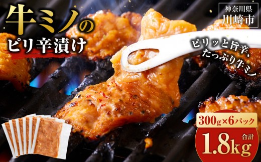 牛ミノ ピリ辛漬け 1.8kg ( 300g × 6パック ) 小分け 個包装 便利 牛肉 ホルモン ミノ 焼肉 焼き肉 お肉 肉 焼くだけ 冷凍 たれ 味付き BBQ アウトドア キャンプ 人気 おすすめ 神奈川 川崎【2026年8月発送】 2300814 - 神奈川県川崎市