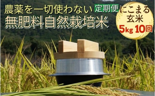 米 定期便 令和7年産 自然栽培米 にこまる ＜農薬を一切使わない無肥料栽培＞ 玄米 5kg × 10ヶ月 50kg 《新米 京都丹波産 無農薬米栽培向き 厳選品種 10回お届け》