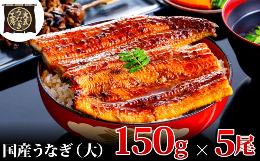 [№5695-1775]うなぎ蒲焼 150g×5尾(750g) うなぎ ウナギ 鰻 蒲焼 蒲焼き冷凍 国産 大五 大五通商 静岡 島田市 1905190 - 静岡県島田市