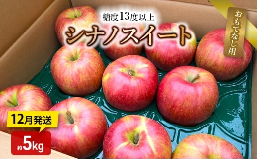 りんご【12月発送】糖度13度以上 シナノスイート おもてなし用 家庭用 約5kg【青森りんご】
