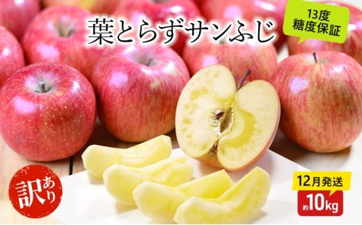 [№5554-0326]りんご【12月・1月発送】蜜入り 糖度13度以上 訳あり 家庭用 葉とらず サンふじ 約10kg【青森りんご 果物 フルーツ デザート 食後 おやつ 産地直送】